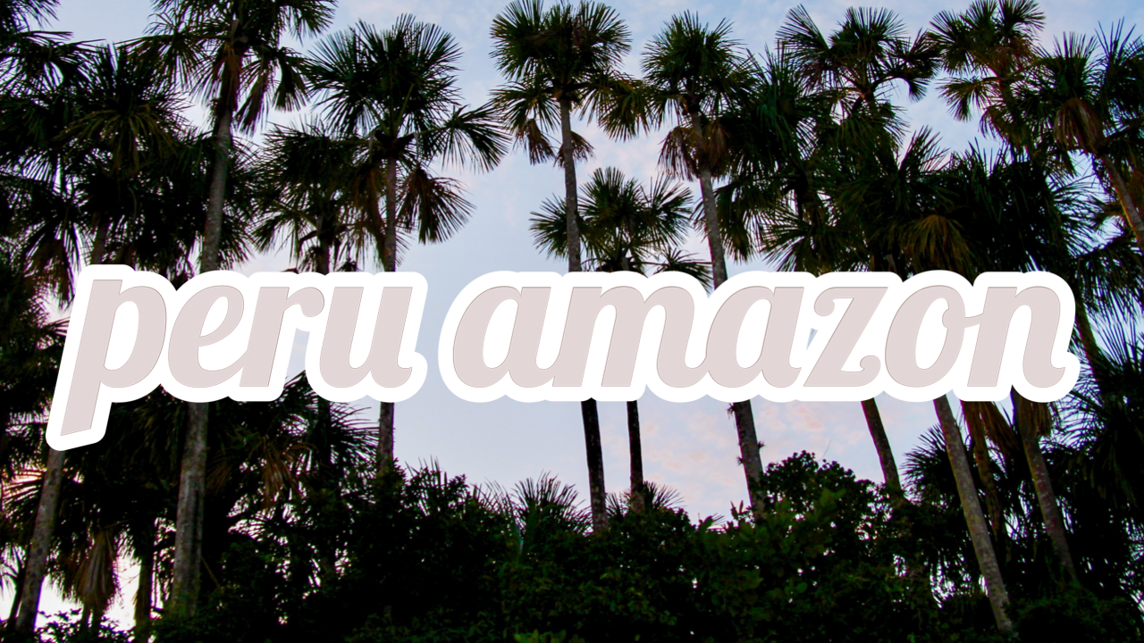 peru amazon vlog