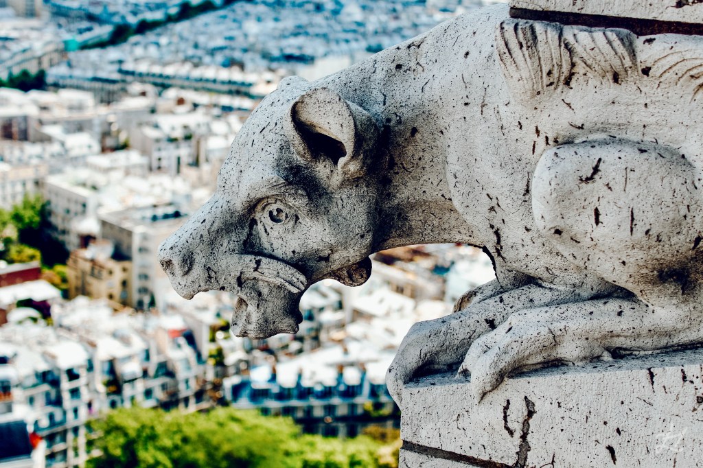 Gargoyle and Montmartre, Paris