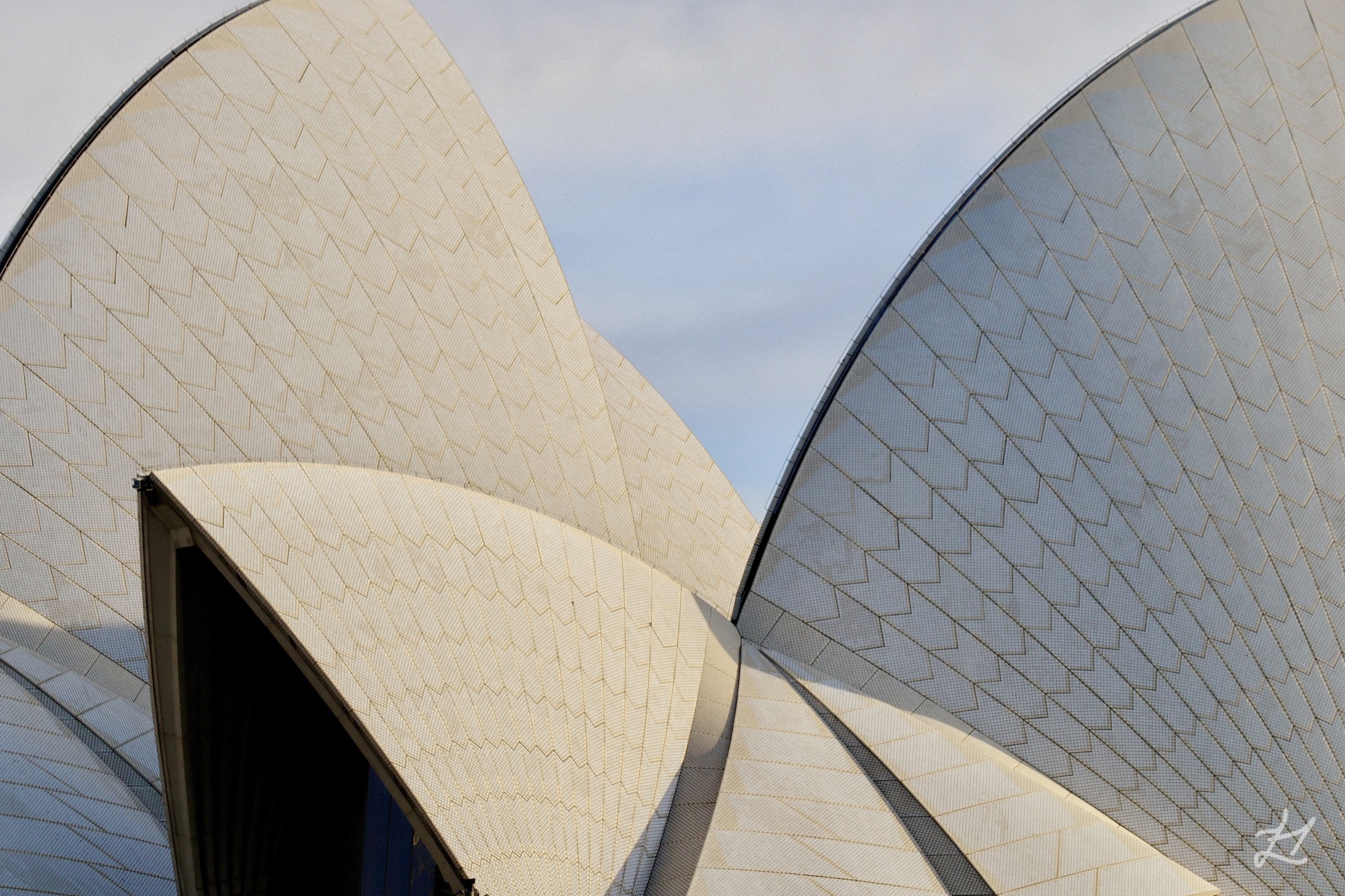 Sydney Opera House Shells