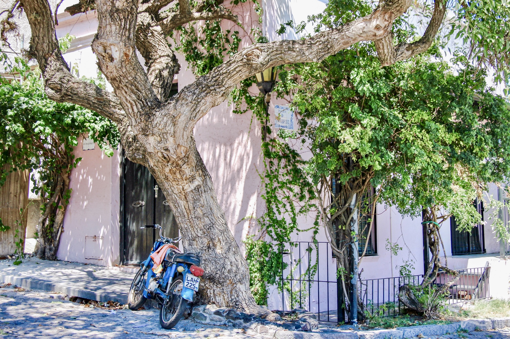 Pink house in Colonia del Sacramento