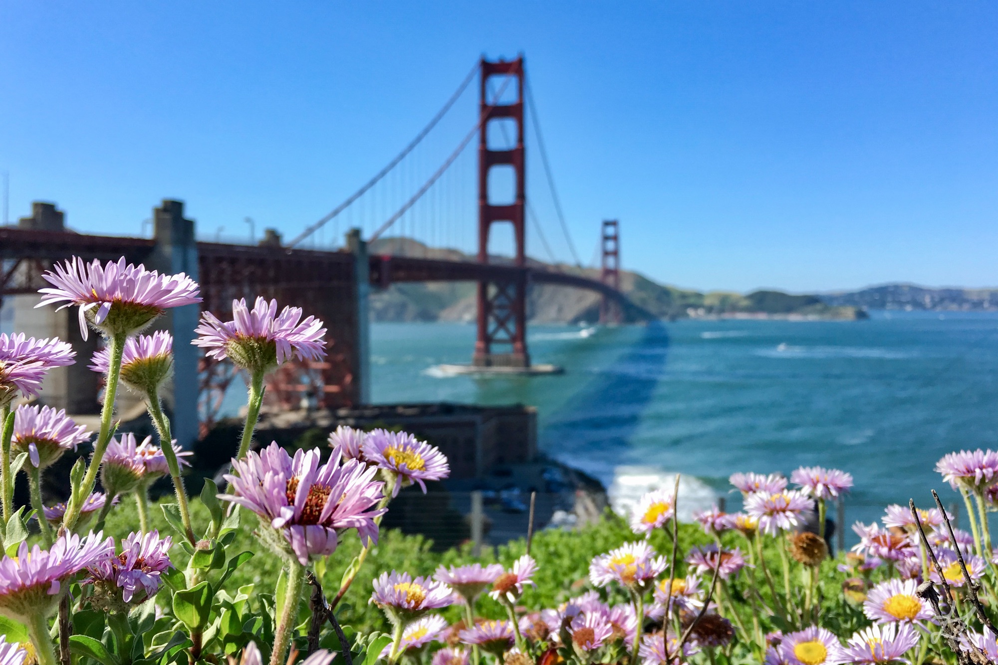 San Francisco's Golden Gate Bridge