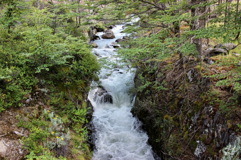River in Torres del Paine National Park, Chile