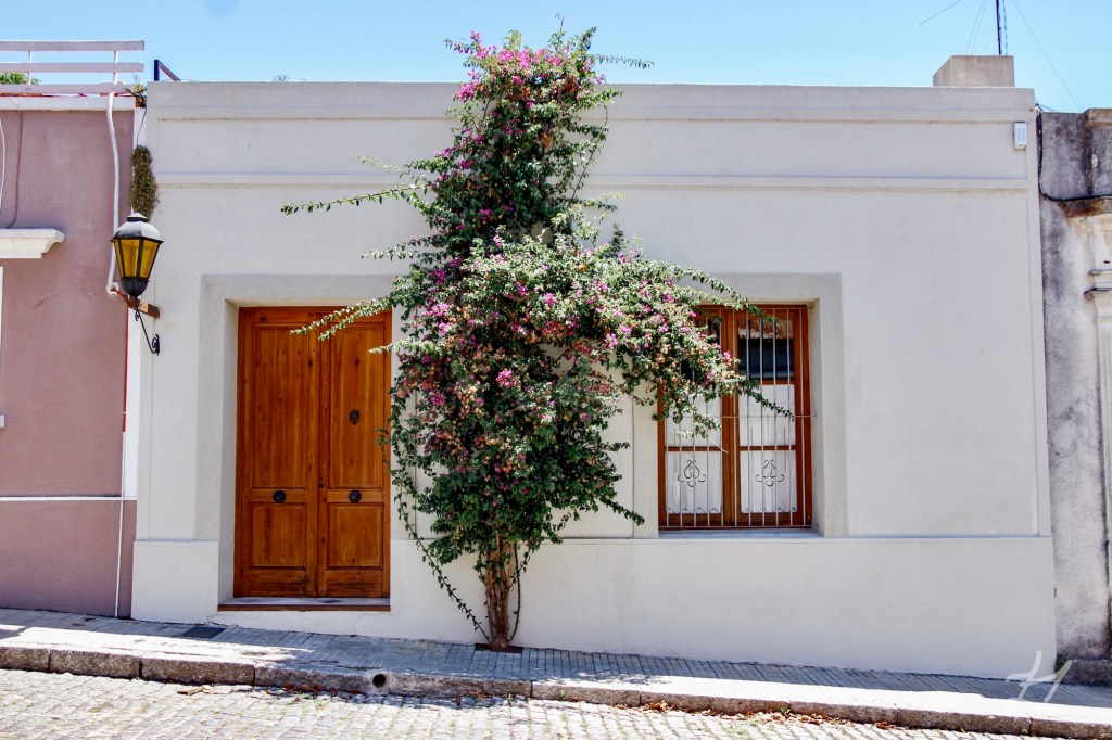 House in Colonia del Sacramento