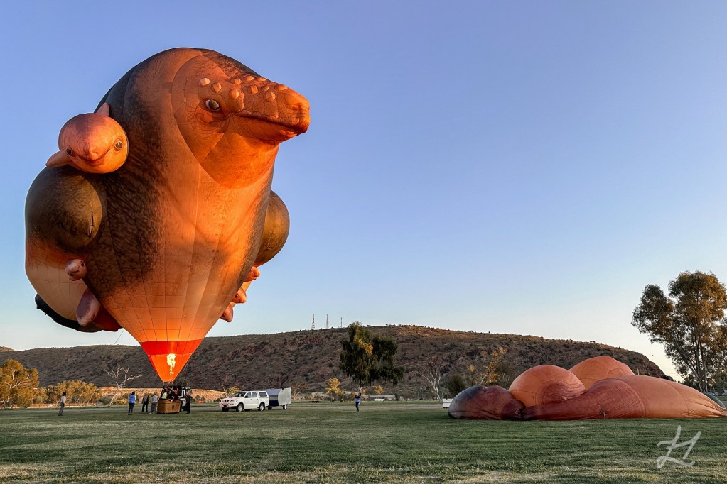 Skywhalepapa in the early morning light in Alice Springs