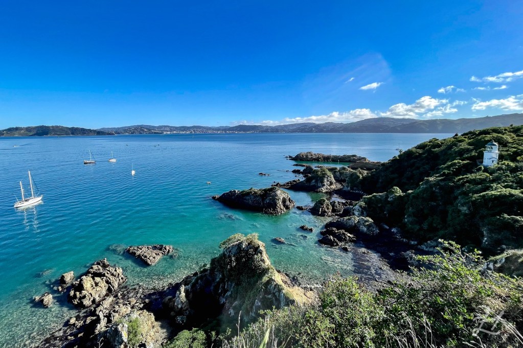 Matiu / Somes Island in Wellington Harbour
