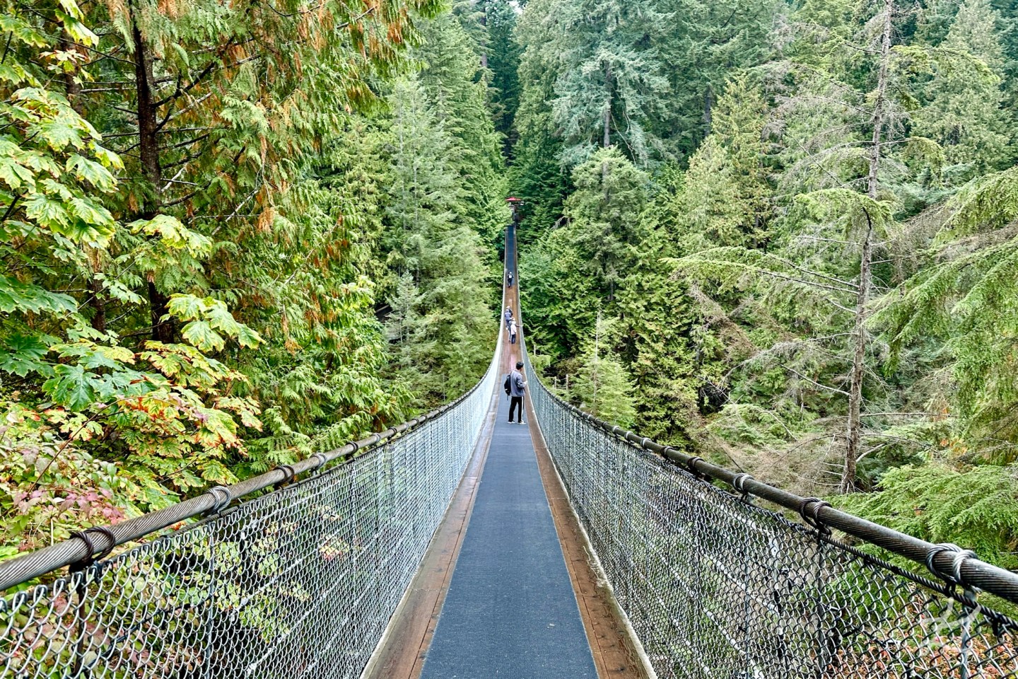 Capilano Suspension Bridge