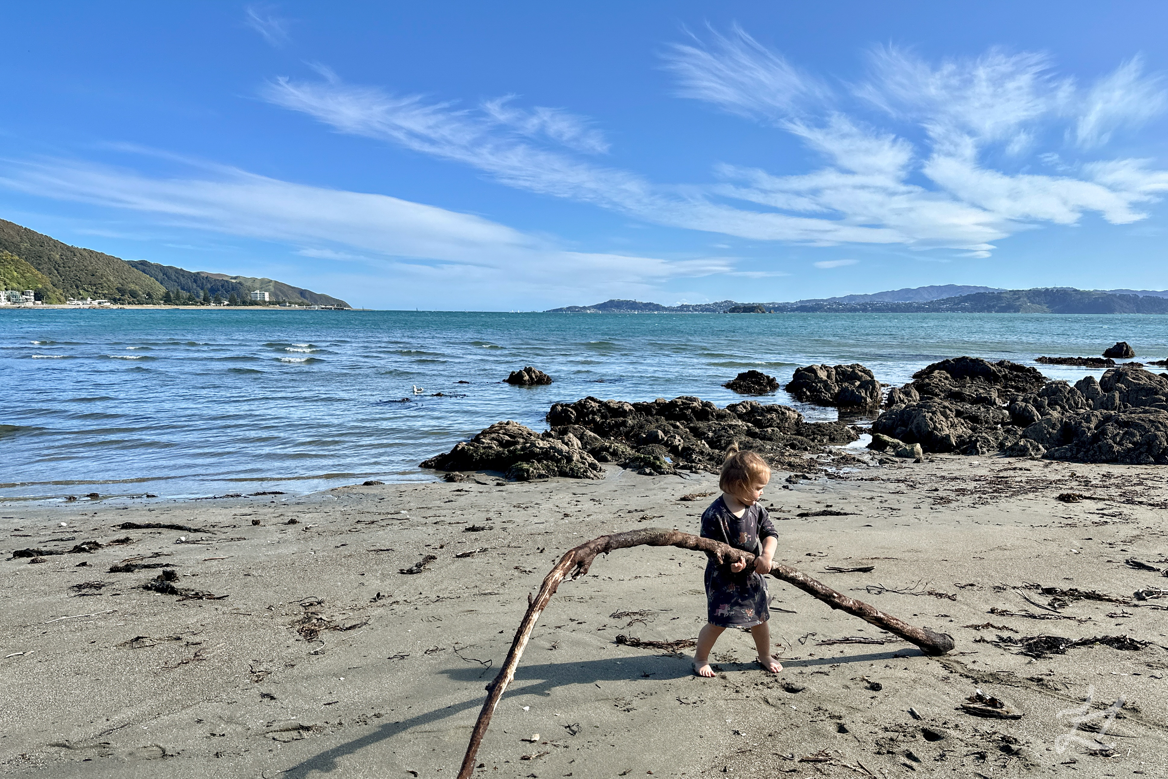 Kaydes carrying driftwood along the sandy Days Bay beach, Wellington