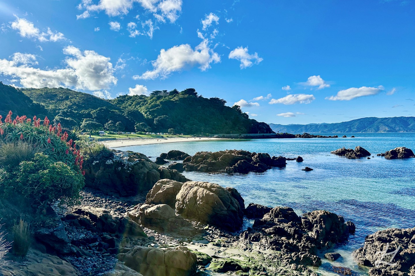 Scorching Bay and Karaka Bay in summer sun