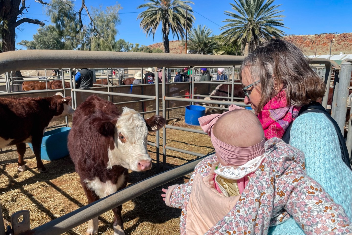 Mum and Kaydes seeing Alice Springs livestock