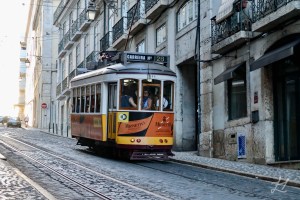 Carreira No. 28 (wm)