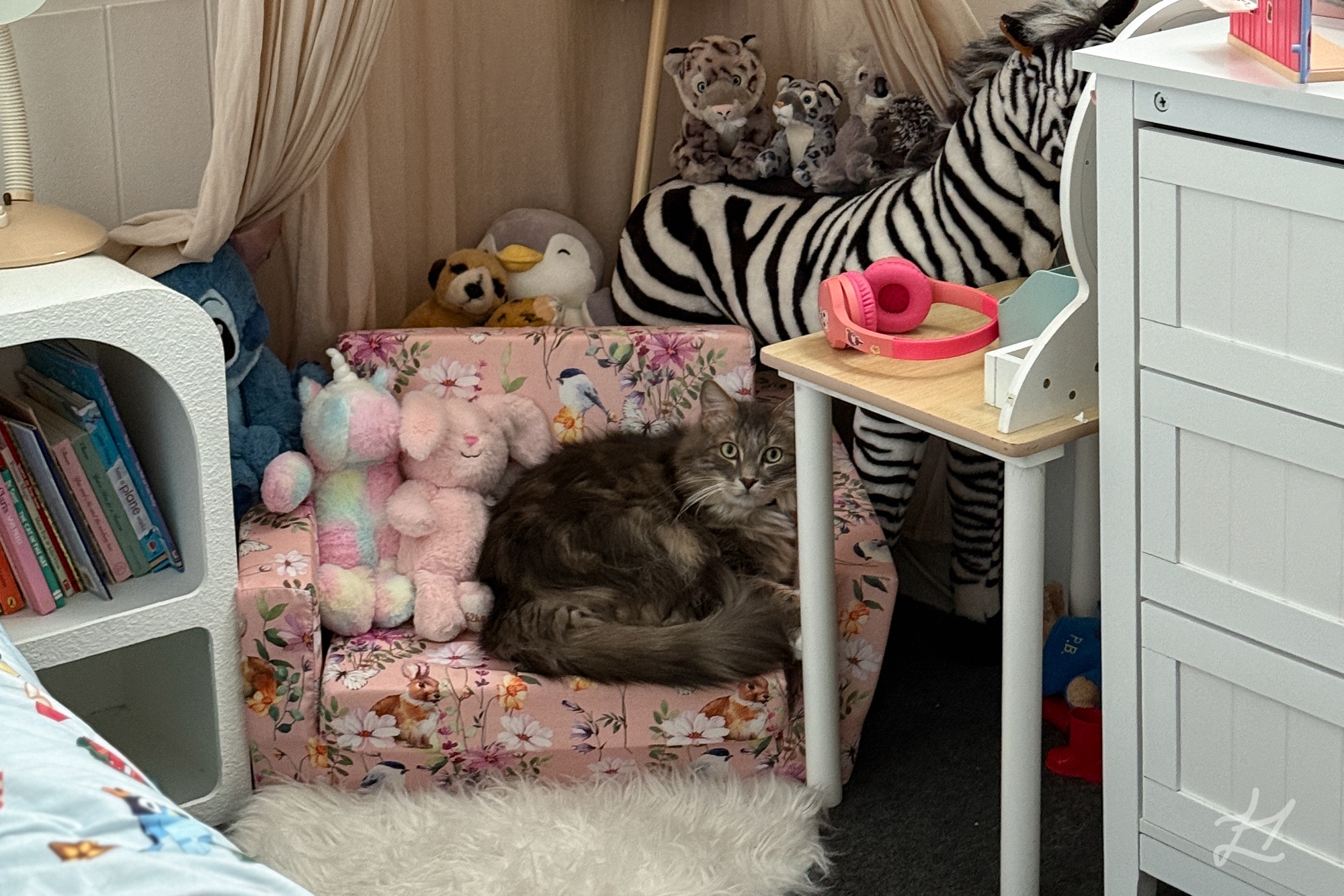 Theodore in Kaydes room